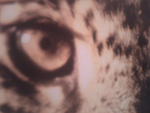 hackftw's profile picture. a guy