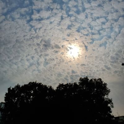 Wy_ywy's profile picture. 🖐☝️