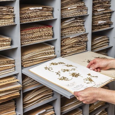 The National Herbarium of Ireland in the National Botanic Gardens of Ireland, Glasnevin, Dublin.