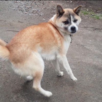 GG_401's profile picture. 