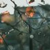 November Rain 🍂🌦 (@lluvia_noviem) Twitter profile photo November Rain 🍂🌦 (@lluvia_noviem) Twitter profile photo
