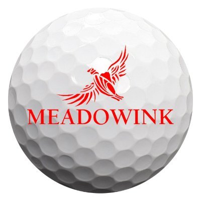 Meadowink Golf Course and Swim Club. Under new ownership in 2019! Now accepting new leagues & members. Reserve a tee time on our website!