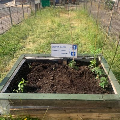 A new garden emerging from a wasted space... watch us grow! Also on Facebook, but visit us in person.   I have more enthusiasm than knowledge of gardening.