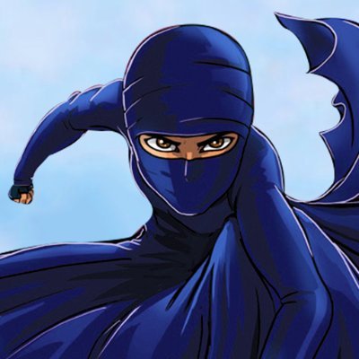 Burka Avenger (@BurkaAvenger) / Twitter Burka Avenger (@BurkaAvenger) / Twitter