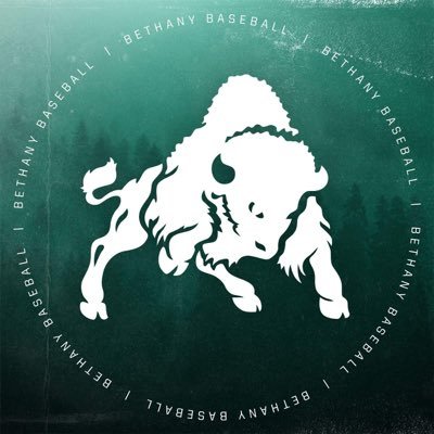 ⚾️Bethany College Bison - Bethany, Wv⚾️