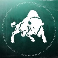 Bethany Baseball (WV) (@baseballwvbison) 's Twitter Profile