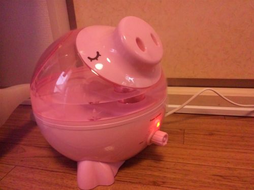 キャラクターがあるクルマ２台に乗ってます♪