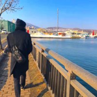 Ryunosuke Ikeda (@imr0305) 's Twitter Profile