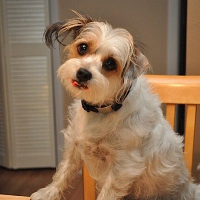 macriley13's profile picture. 