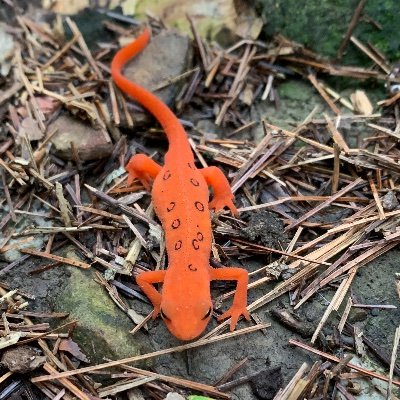 MACandLVC's profile picture. Fresh starts are never easy but worth it!