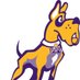 Heat Check CBB Sim - UAlbany (@hcs_ualbany) Twitter profile photo Heat Check CBB Sim - UAlbany (@hcs_ualbany) Twitter profile photo