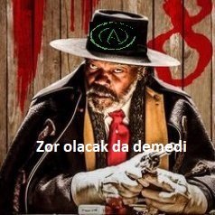 4 kitabın üstünde tırnak kesmiş, peygambere pıçah çekmiş bir hesaptır. hem takip edip hem de gatırınkini görmüş gancıh eşşekler gibi bön bön bahmayın...