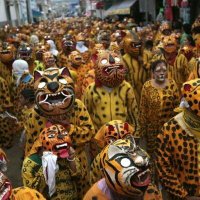 Guichi bii (@biiguichi) 's Twitter Profile