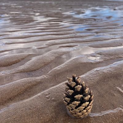 Rosemarkie Beach... and beyond