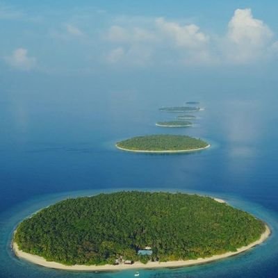 grUDvfKw7Zk8yym's profile picture. مهتم بالأخبار محب للوطن