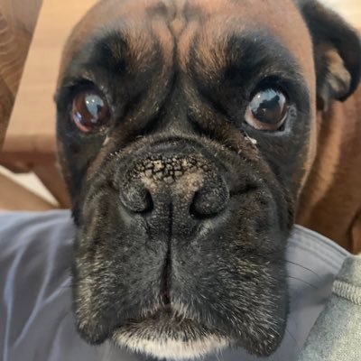 Murtle007's profile picture. 