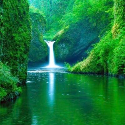 Follow for amazing animals, nature & discovery video. Don’t forget to follow us don’t own any content posted. DM for credit/removal.