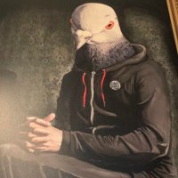 Pigeon Head Brewery (@pigeonheadbrews) 's Twitter Profile