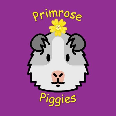 primrose piggies rescue