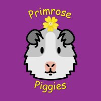 primrose piggies rescue (@buggmum) 's Twitter Profile