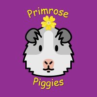 primrose piggies rescue(@buggmum) 's Twitter Profile Photo