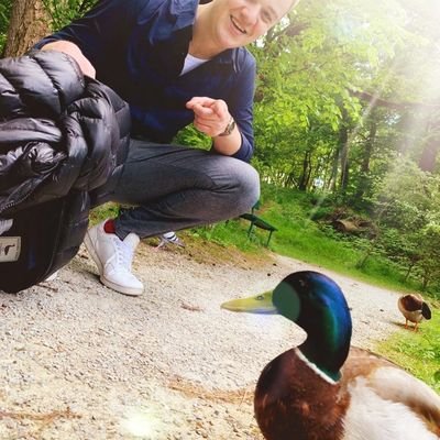 Politologe24's profile picture. politisch, sportlich & sozialdemokratisch