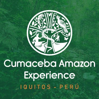 Operador Turístico en la ciudad de Iquitos desde 1995, contamos con 3 eco lodges ubicados a orillas del Rio Amazonas, viajar con nosotros es vivir experiencias.