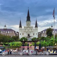 NOLA LIVE (@nolalive1) 's Twitter Profile