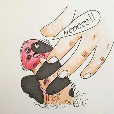 Zauschile's profile picture. Conocer, compartir, morbosear