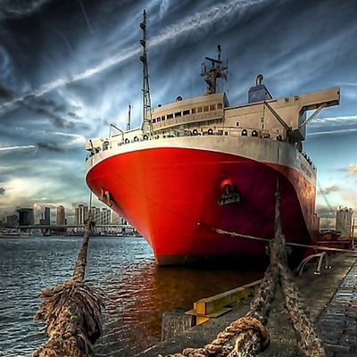 القلب *عراقي* ودقاته إماراتية 🇦🇪❤🇮🇶
SHIPBROKER - DRY BULK 😎 🚢