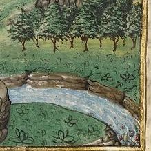 locumrefrigerii's profile picture. 