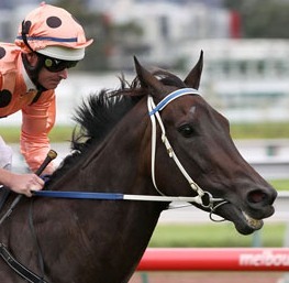 blackcaviar2006 Profile Picture