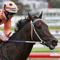 Black Caviar (@blackcaviar2006) 's Twitter Profile