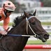 Black Caviar (@blackcaviar2006) Twitter profile photo Black Caviar (@blackcaviar2006) Twitter profile photo