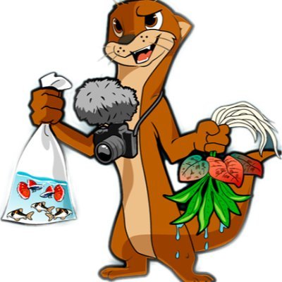 Hello, my name is Kendall Otter and I am the creator of Otter Creek Aquatics. If you love aquariums then follow and check out my other social media platforms!