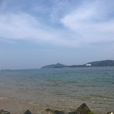だーくん 自由人 現象の反対語は本質 現象 本質 だーくん 自由人 現象の反対語は本質 現象 本質