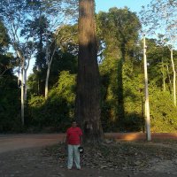 Ciceromarata (@ciceromarata1) 's Twitter Profile