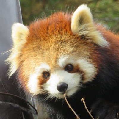 MA47739091V's profile picture. 