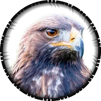 Akarnious (@akarnious) 's Twitter Profile Photo Akarnious (@akarnious) 's Twitter Profile Photo