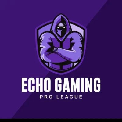 EchoEvoid Profile Picture