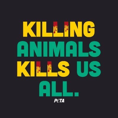 PetaDebunked's profile picture. Debunking the shitty company known as peta