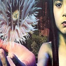 Founded 2011, this is the earliest Twitter account for IDM / Ambient Music. Curated by Marcus Gabler (@milleplateaux1)