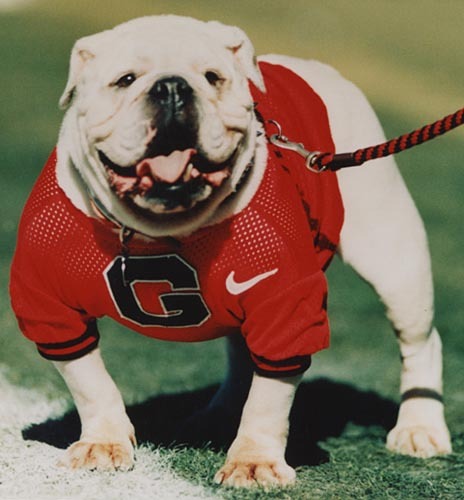 AthensTweetup's profile picture. Home of the Athens, GA Networked Class! Sponsored events bring together business leaders, entrepreneurs, and great causes. A division of http://t.co/eAQDmzRj1n.