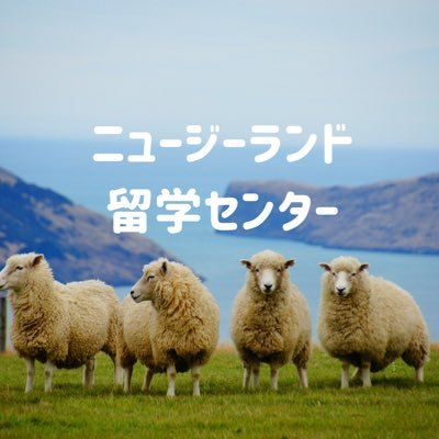 オークランドにある留学エージェント🇳🇿 現地オフィスならではの情報をお届け🐏お気軽にリンクよりお問い合わせください♪ https://t.co/o3vToRqQ0G