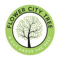 Flower City Tree(@Flowercitytree) 's Twitter Profile Photo