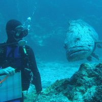 Glenn Moore (@westozfish) 's Twitter Profile
