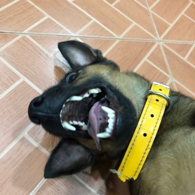 Hookayonnne's profile picture. - ชอบทุกอย่างที่เป็นเสาวรส , แฟนคลับวงนั้นไง -