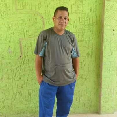 El vergatario