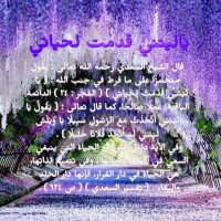 ياليتني قدمت لحياتي (@yalitani_8dmt) 's Twitter Profile Photo