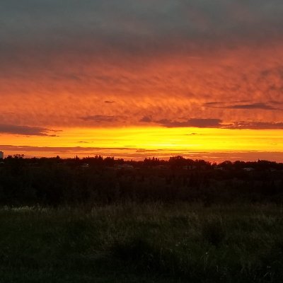 Mrituanjay7's profile picture. i really don't know what to write here